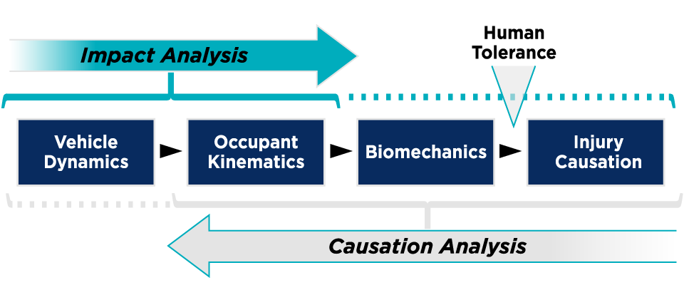 BRC-Biomechanical-flow-chart-graphic-960x400 BRC Biomechanics flow chart